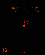 《战争之人：突击小队》年度版 英文硬盘版