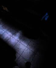 《小猫咪大城市》电脑版