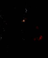 《棕仙：白金版》英文硬盘版