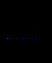 《阿斯特雷拉星光》英文免安装版