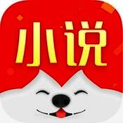 旺旺小说阅读神器 V1.1