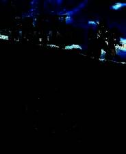 《户外钓鱼：夏日时光》官方版