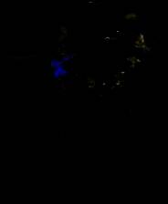 《神秘花园的植物》英文免安装版