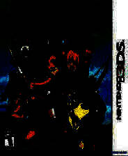 《世界树迷宫4 传承的巨神》美版3DS版