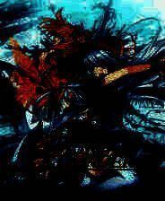 《妖精剑士F》美版PS3版