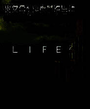 《半条命2：消失的海岸线》简体中文免安装版