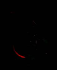 《恐外症》Demo试玩版