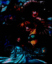 《魔法少女》简体中文硬盘版