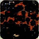 咖啡园厨房天地 官方版 V2.3.16