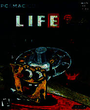 《游戏人生之海绵宝宝》英文免安装版