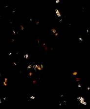 《瑟西卡的神迹》 简体中文免安装版