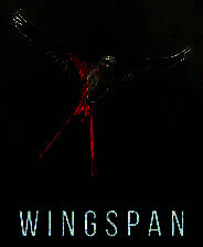 《展翅翱翔》 v1.6.1081升级档+未加密补丁[TENOKE]