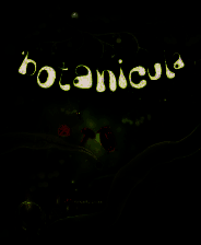 《植物精灵》 简体中文免安装版