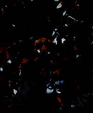 《发明工坊2外传：脸红心跳大冒险》 繁体中文免安装版