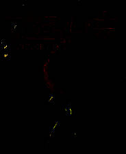 《西游记：大圣归来》风灵月影修改器