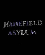 《哈尼菲尔德疯人院》英文免安装版