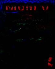 《摩艾5：新时代》英文免安装版