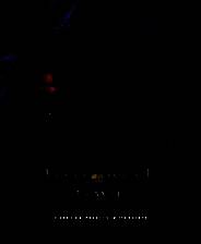 《不朽的爱情：真正的珍宝》英文免安装版