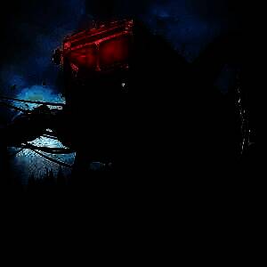 七日世界 国服 V1.9.10