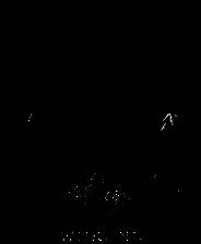 《黑神话：悟空》完美技能组合MOD