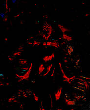 《旅程：盖亚之心》完整英文硬盘版