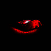 红唇直播秀 V1.0.58