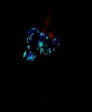 《杀手琴》英文免安装版