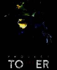 《塔楼计划》单机中文版