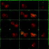 连连看传说 V1.4.6