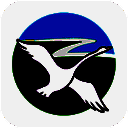 魅力新左旗 V1.0.0