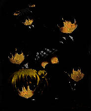 《箱庭的学园》日文免安装版