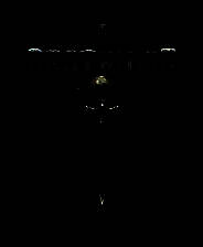 《太空战舰：死亡之翼》正式版 3DM免安装未加密版