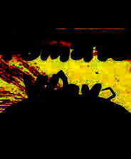 《番茄之道》官方简体中文免安装版