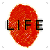 LIFE V3.0.0