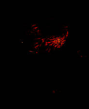 《恐怖X系列》英文免安装版