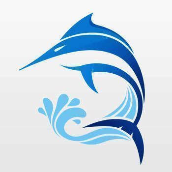 飞流直播 V2.2.10