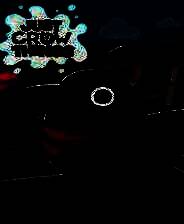 《整蛊鸦》官方版