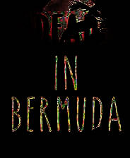 《死在百慕大》简体中文免安装版