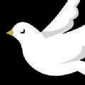 雪鸽 V0.0.2