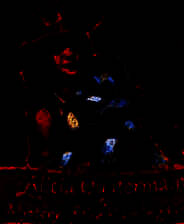 《艾丽西娅奎特梅因与燃烧的黄金之谜》英文免安装版