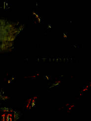 《皇牌空战7：突击地平线》FLT简体中文免安装硬盘版