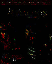 《龙骑士传说》免安装中文版