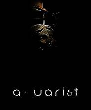 《水族馆》 v20250129升级档+未加密补丁[TENOKE]