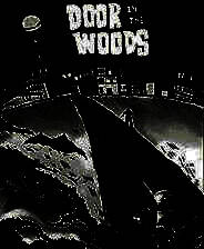 《林中之门》英文免安装版