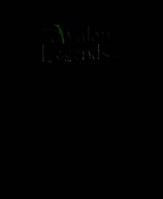 《阿瓦隆传说纸牌》(Avalon Legends Solitaire)鸾霄汉化版