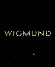《Wigmund》英文免安装版