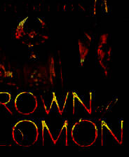 《探秘远征7：所罗门之冠》简体中文免安装版