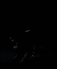 《雪橇手》英文免安装版