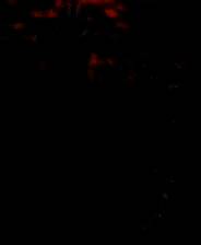 《战锤40K：战争黎明2报应》免安装中文版