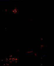 《冷酷面具：神秘威尼斯》简体中文免安装版